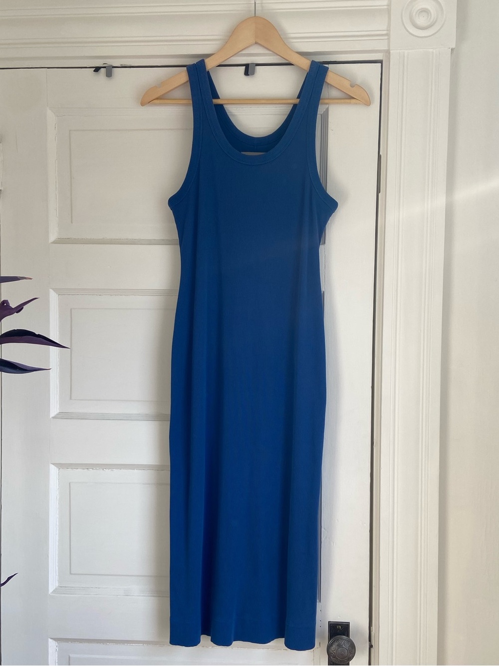 Everlane Ribbed Dress